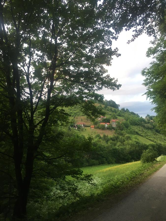 Nicehead Spacious Nest Between Maribor And Celje Loče pri Poljčanah Exterior foto