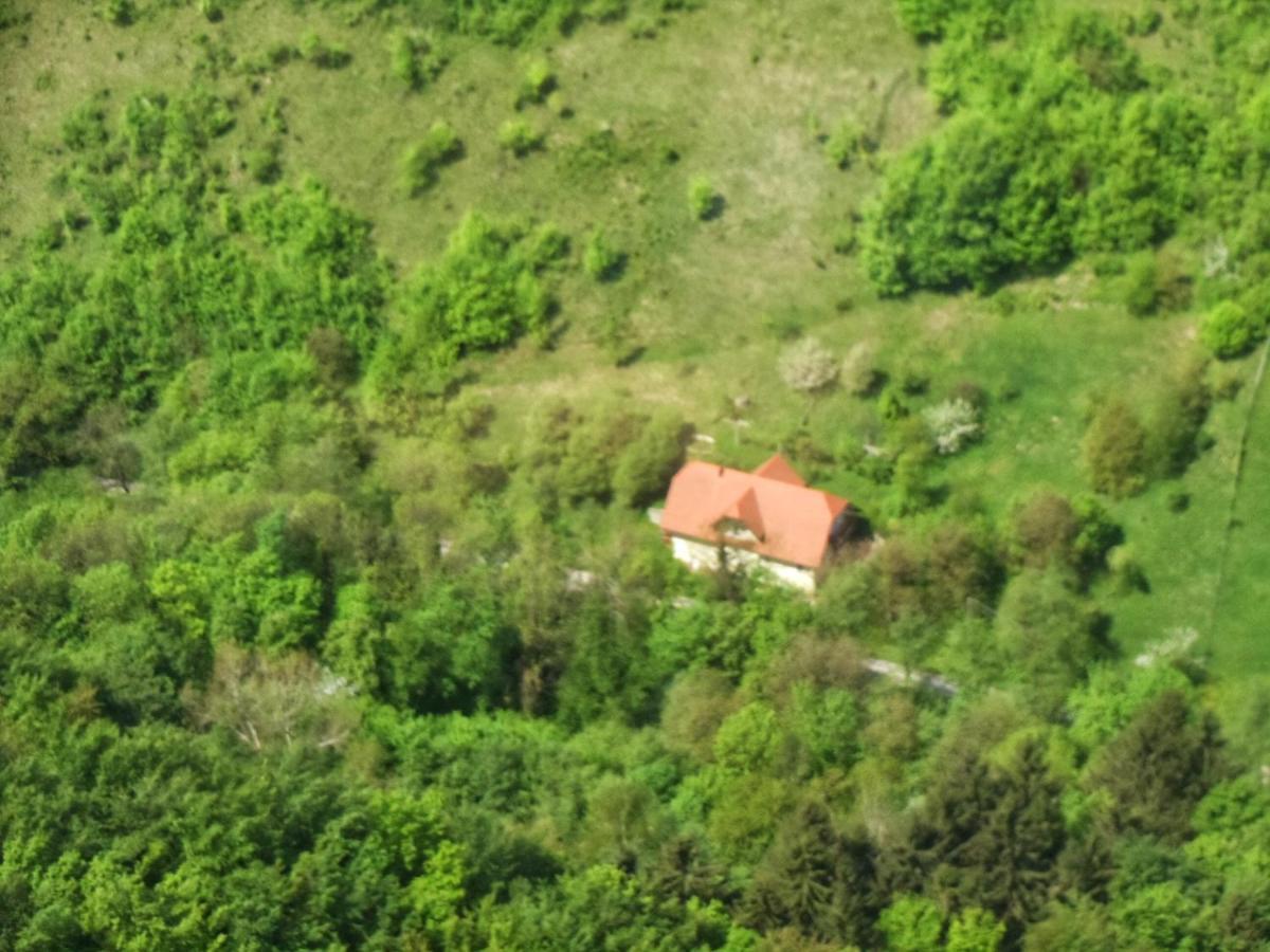 Nicehead Spacious Nest Between Maribor And Celje Loče pri Poljčanah Exterior foto