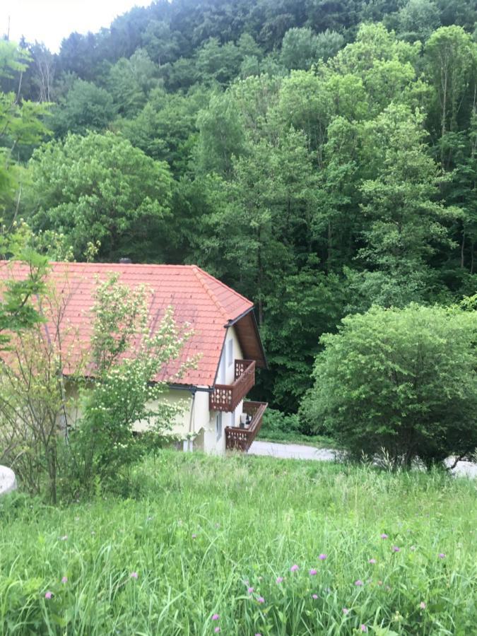 Nicehead Spacious Nest Between Maribor And Celje Loče pri Poljčanah Exterior foto